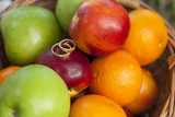 Золотые обручальные кольца лежат на разноцветных ярких фруктах - рыжих апельсинах, нектаринах, красных и зеленых яблоках