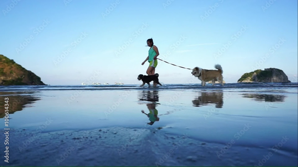 woman walking their dogs on the beach woman walking their dogs on the beach