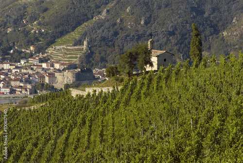 Hermitage Cote du Rhone