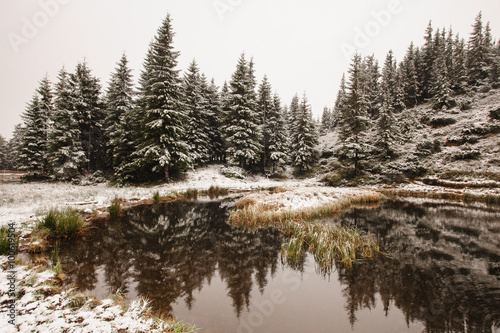 Winter reflection on the lake