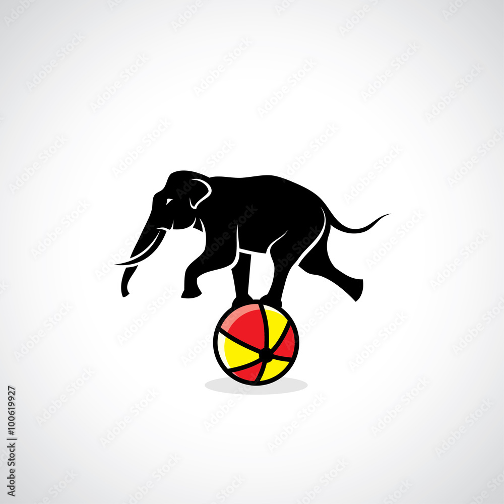 Fototapeta premium Circus elephant