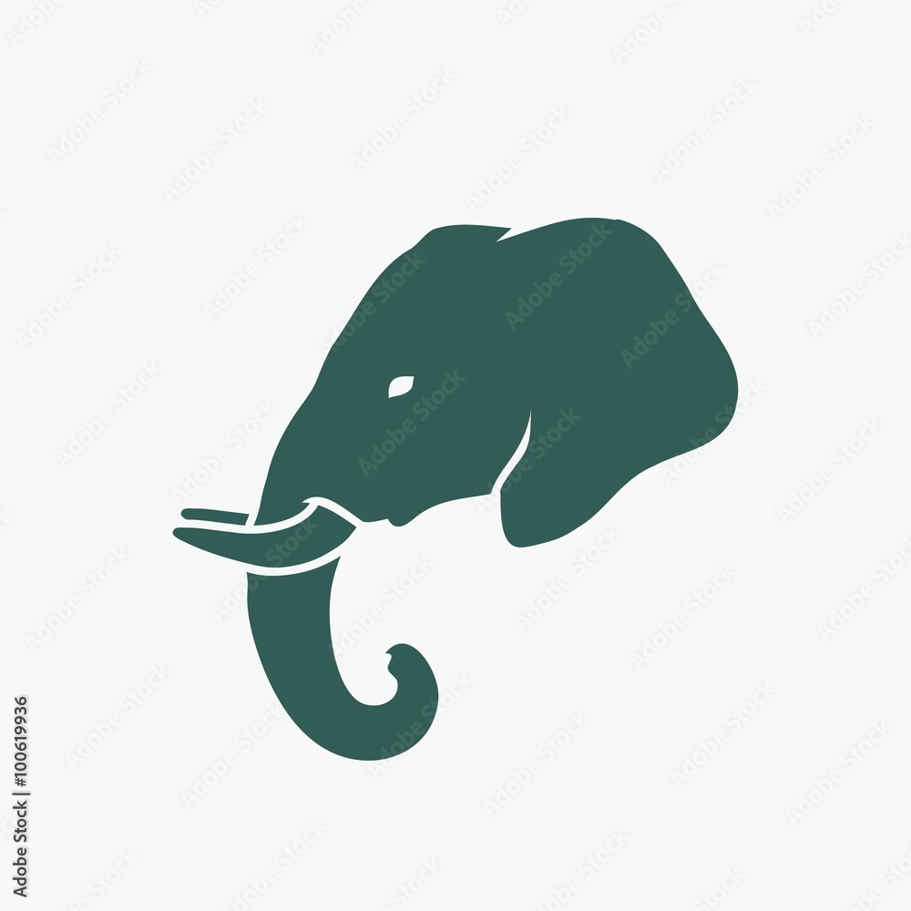 Naklejka premium African elephant