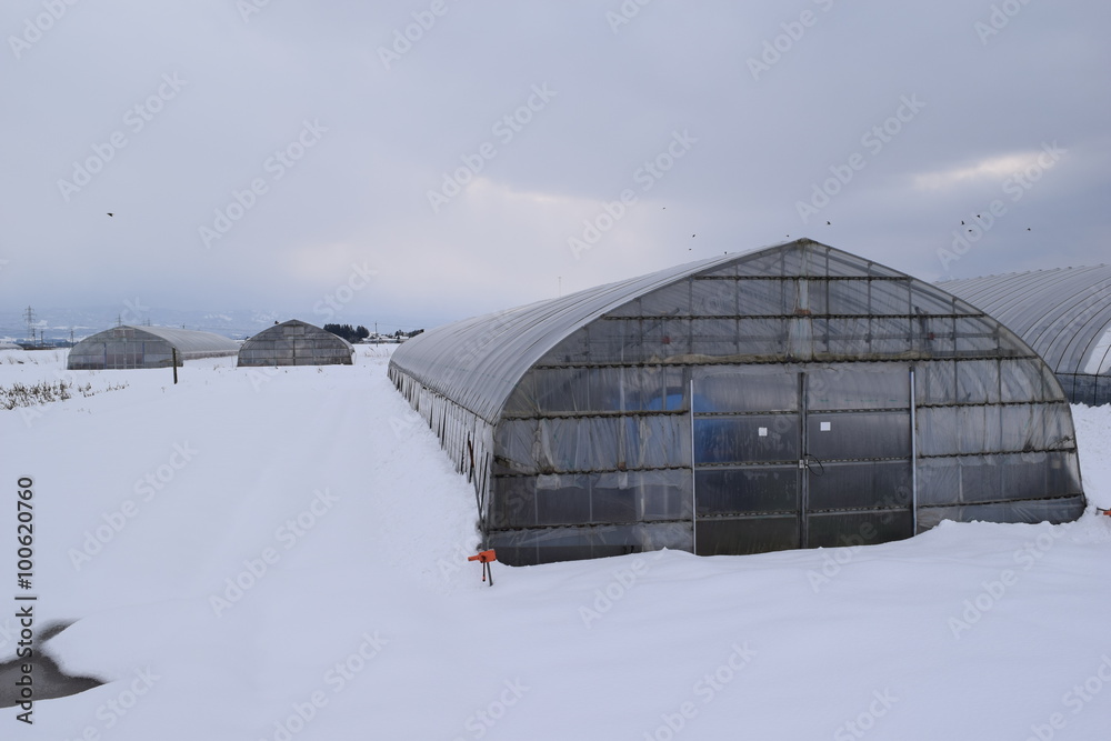 雪の中の農業用ビニールハウス/山形県の庄内地方で、雪の中の農業用ビニールハウスを撮影した写真です。約30cmの降雪風景ですが、ビニールハウスから滑り落ちた雪が積もってる為、ビニールハウスの側面には約1mの積雪がありました。 雪の中の農業用ビニールハウス/山形県の庄内地方で、雪の中の農業用ビニールハウスを撮影した写真です。約30cmの降雪風景ですが、ビニールハウスから滑り落ちた雪が積もってる為、ビニールハウスの側面には約1mの積雪がありました。