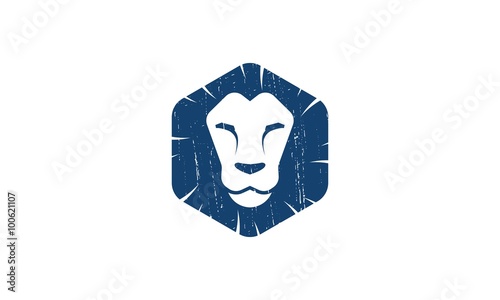 Fototapeta Naklejka Na Ścianę i Meble -  Wild Lion Logo
