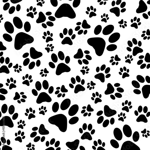 Animal footprint pattern vector