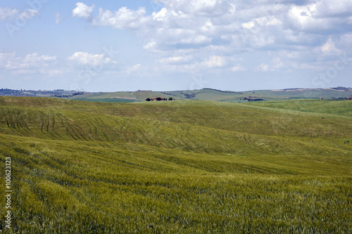 toskana landschaft © ilfotokunst
