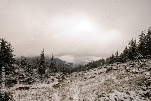 Beautiful winter landscape in mountains