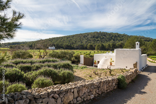 Ibiza fields