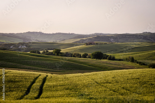 toskana landschaft © ilfotokunst