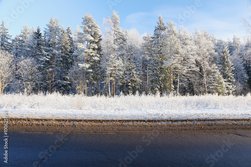 Wallpaper Mural shoulder of a rural road in winter Torontodigital.ca