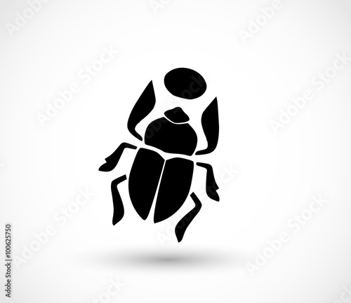 Scarab icon vector
