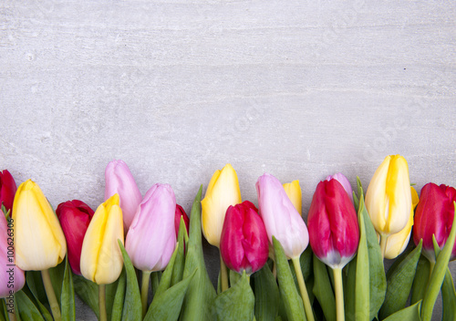 Fototapeta Naklejka Na Ścianę i Meble -  beautiful fresh tulips