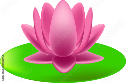 lotus