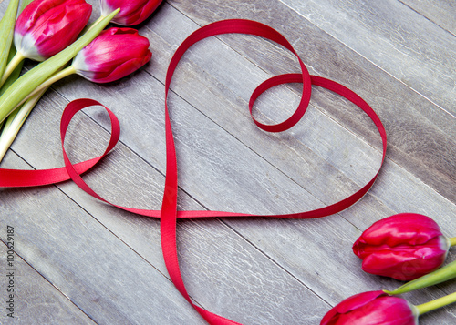 beautiful valentines day background with ribbon heart and fresh red tulips