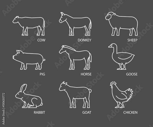 Vector linear set of farm animals. White silhouettes animals iso