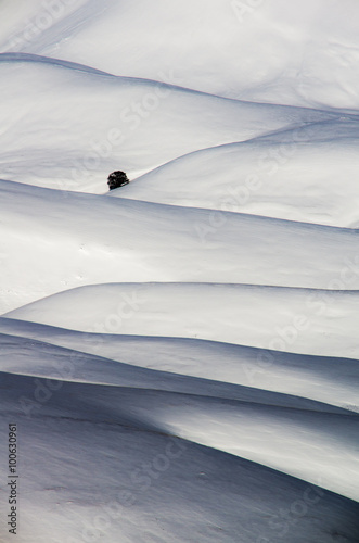 A Lone Tree in White Mountain Hills