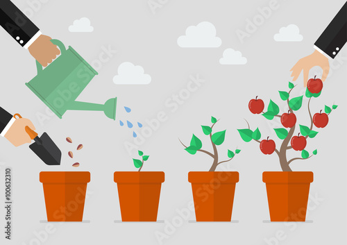 Planting tree process