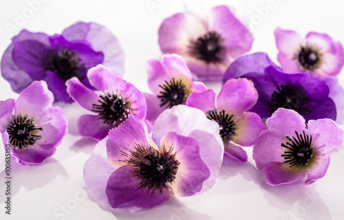 Floral background with beautiful violets flowers use as greeting card