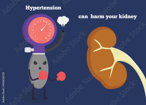 High blood pressure can harm your kidney. Hypertension character is boxing against kidney.