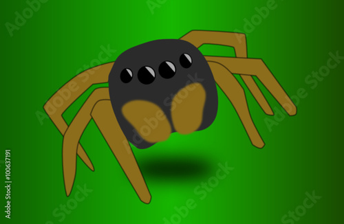 jumper saltigrade spider on leaf