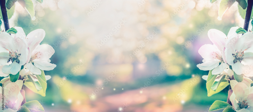 Spring blossom over blurred nature background with sunshine, banner. Retro toned - obrazy, fototapety, plakaty 