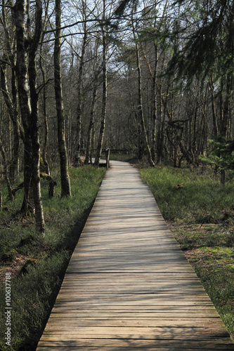 Wooden footbridge