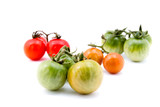 Tomato vine on white background