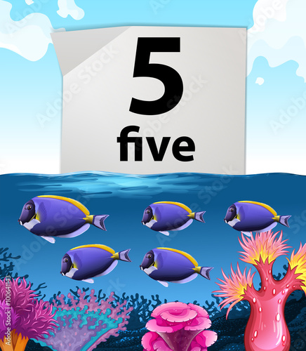 Number five and fish swimming underwater