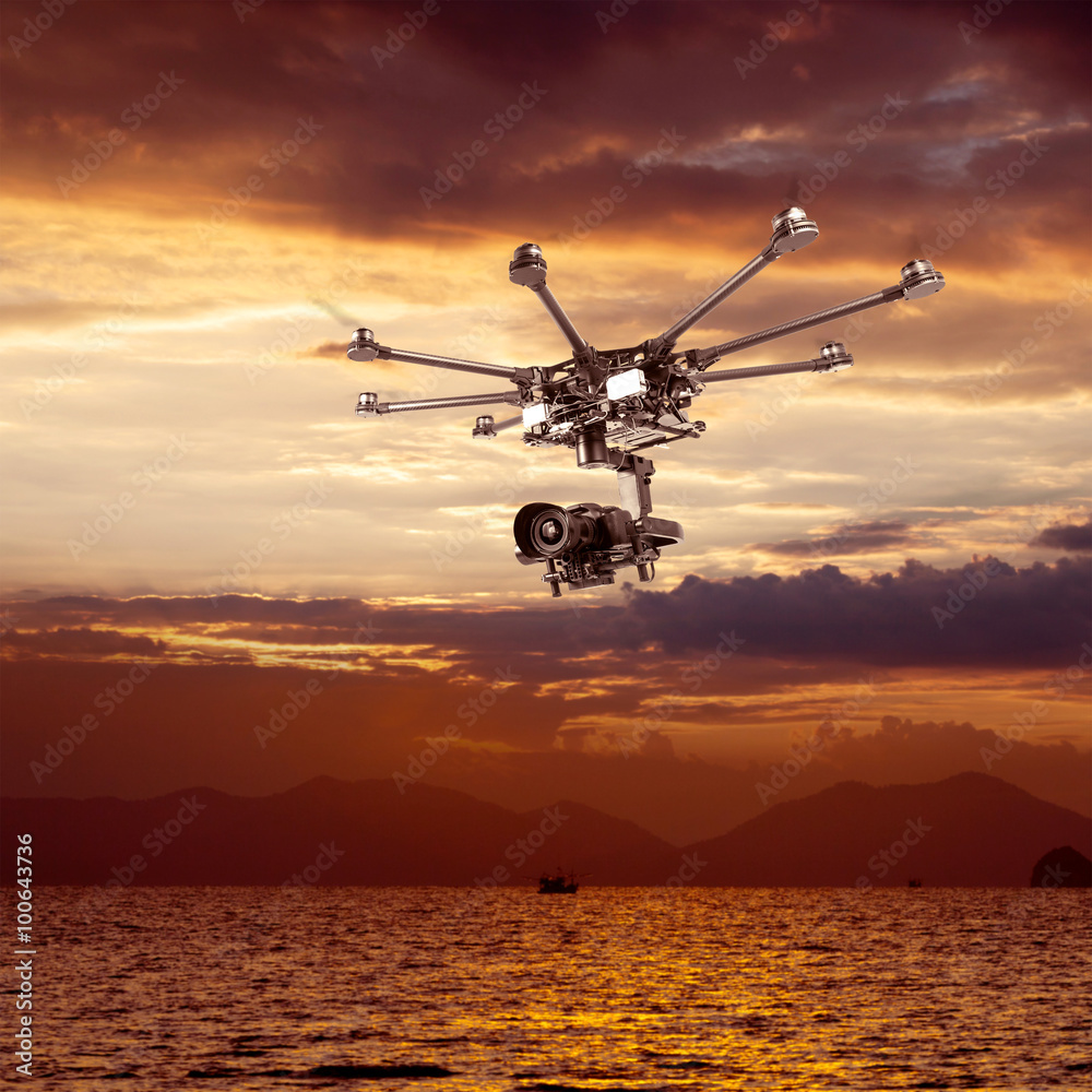The professional drone The professional drone