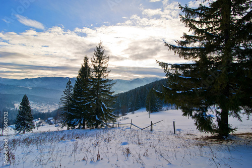 Ukrainian winter mountains landscape. Carpathians