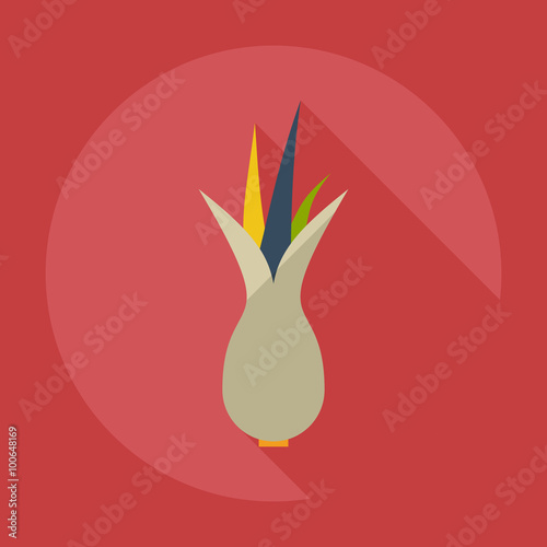 Flat modern design with shadow icons onion