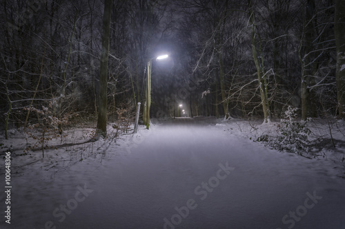 Snow in Forest at Night