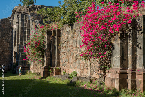 Flores en las paredes del templo inconcluso la Preciosa Sangre en Mascota Jalisco.