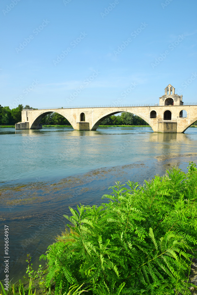 Fototapeta premium Pont Saint-Benezet in Avignon, France