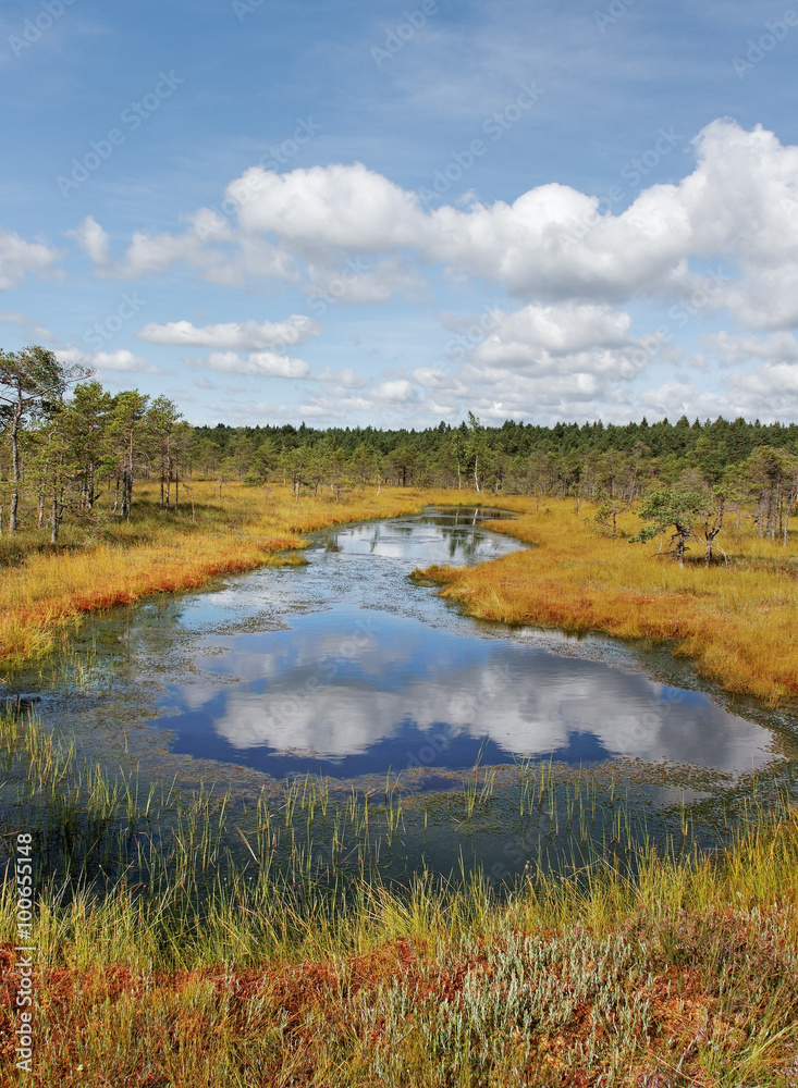 National park of Kemeri in Latvia. National park of Kemeri in Latvia.