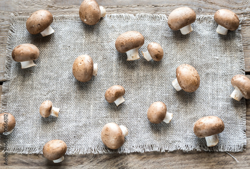 Brown champignon mushrooms on the canvas