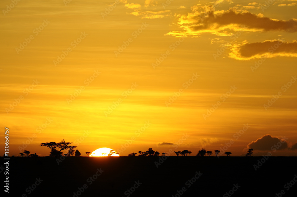Tanzania Parco Serengeti tramonto
Tanzania Parco Serengeti tramonto