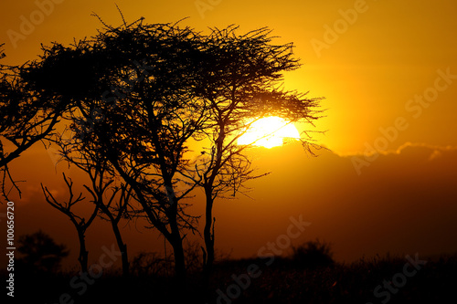 Tanzania Parco Serengeti tramonto 