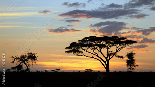Tanzania Parco Serengeti tramonto   © franco ricci
