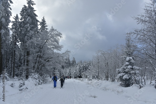 Promenade en ski de fond au plateau des Hautes Fagnes en Belgique © Photocolorsteph