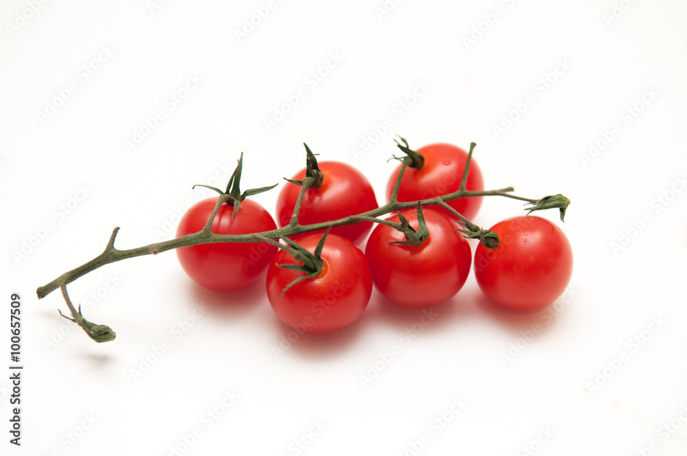 Ripe vine tomatoes on a white isolated background close up