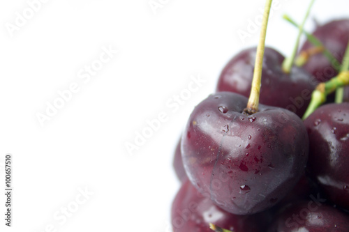 A closeup group of cherries arranged in a white background