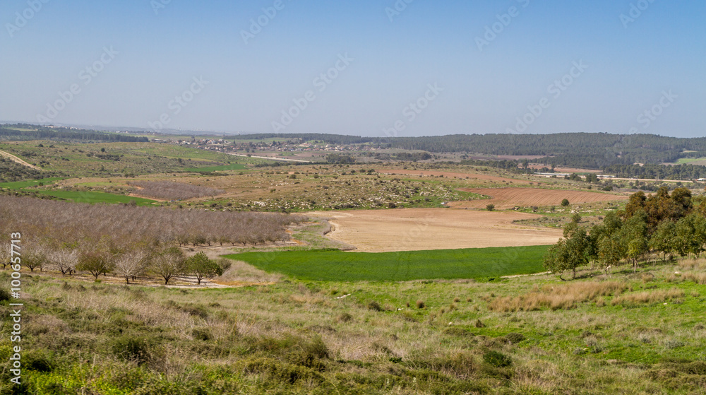 Mediterranean rural landscape, Israel Mediterranean rural landscape, Israel