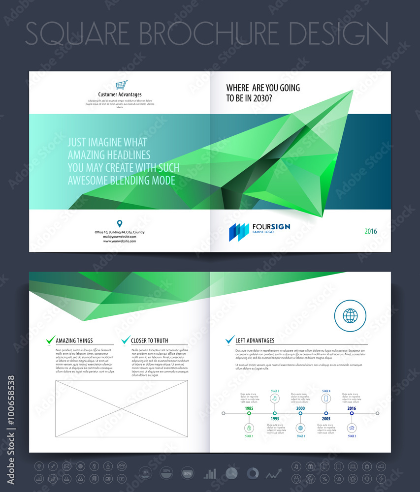 Business brochure with polygonal plane. Vector illustration.