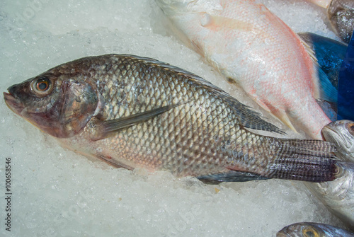 tilapia fish or mango fish