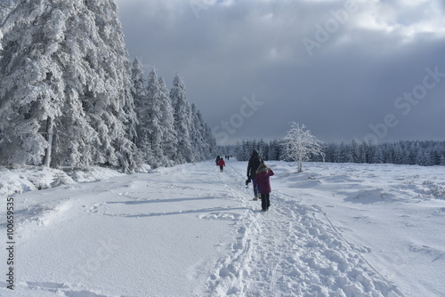 Promenade dans la neige sous une éclaircie au plateau des Hautes Fagnes en Belgique