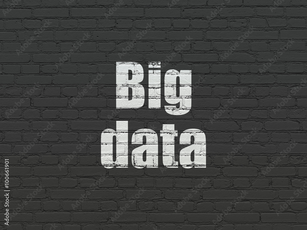 Information concept: Big Data on wall background Information concept: Big Data on wall background