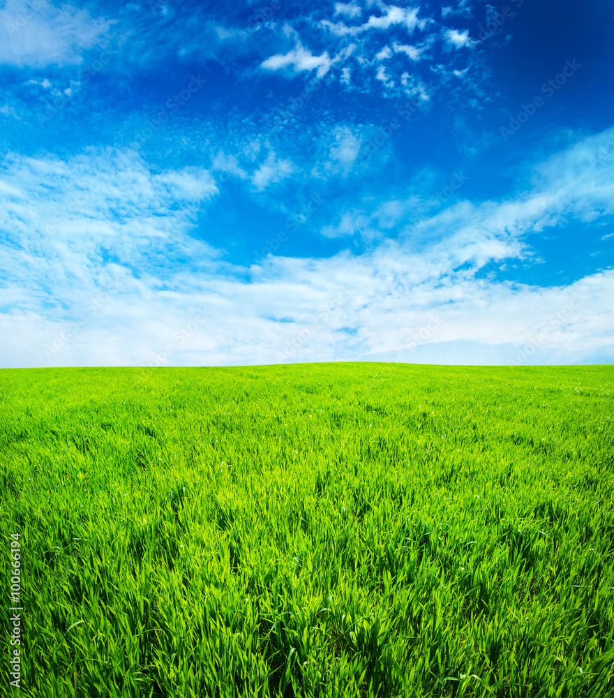 green field