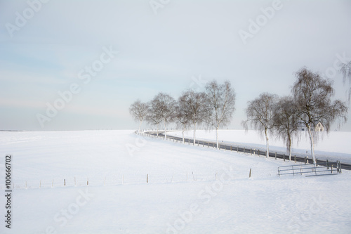 Wallpaper Mural Paysage hivernal Torontodigital.ca