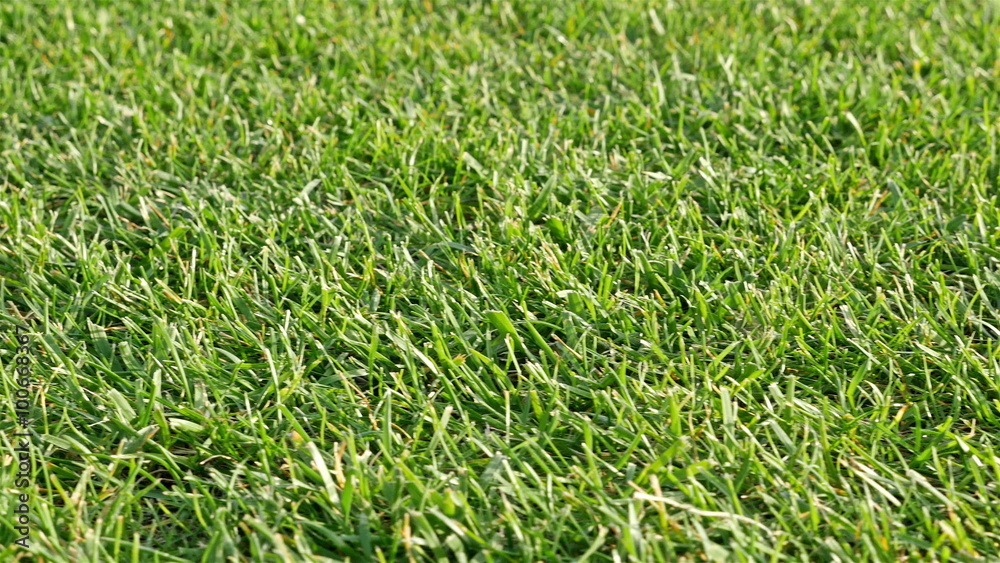football field on a stadium football field on a stadium